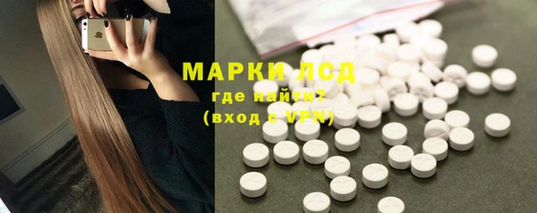 хмурый Магас