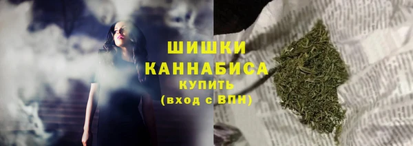хмурый Магас