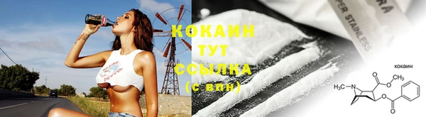 хмурый Магас