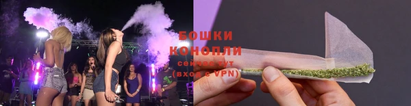 хмурый Магас