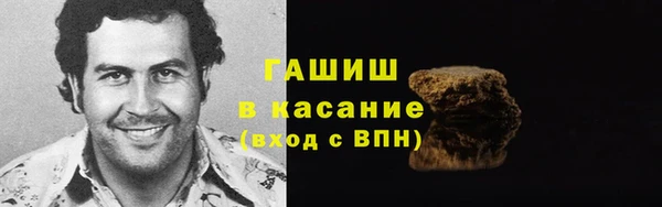 хмурый Магас