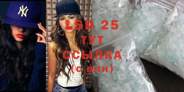 хмурый Магас