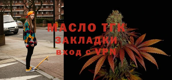 хмурый Магас