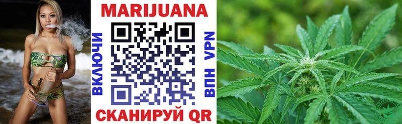 Каннабис OG Kush  Талица 